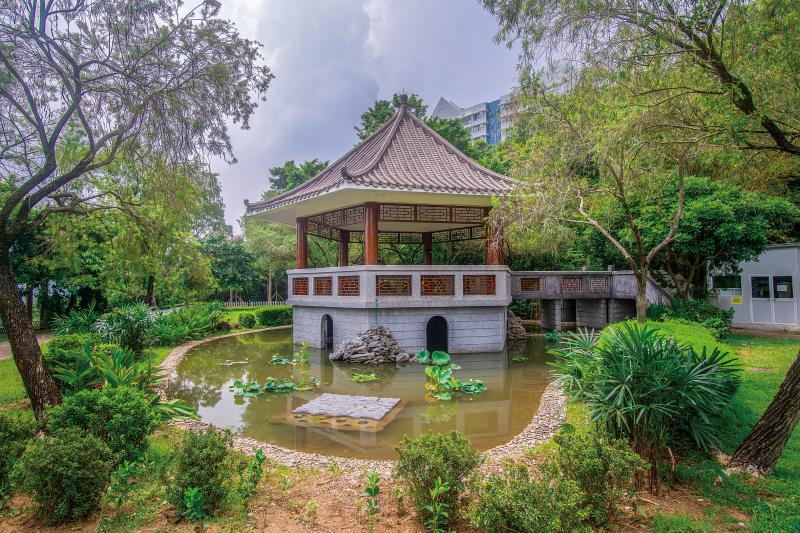 Beautifying the Chinese Garden Pond near staff quarters tower 15-19 could be a symbol of our university